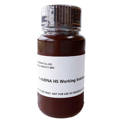 Kit di test per quantificazione di DNA - 12642ES series - Yeasen Biotechnology (Shanghai) Co., Ltd - per DNA / per DNA / a fluorescenza