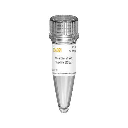 Reagente inibitore di Rnase - 10703ES series - Yeasen Biotechnology (Shanghai) Co., Ltd - per trascrizione in vitro / liofilizzato