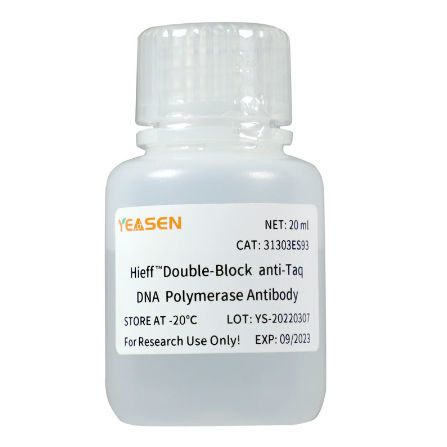 Reagente anticorpo - Hieff™ - Yeasen Biotechnology (Shanghai) Co., Ltd - anticorpo monoclonale / DNA polimerasi / per biologia molecolare