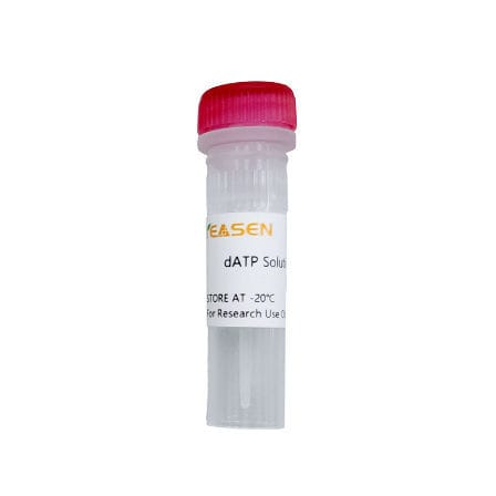 Reagente in soluzione - 10118ES series - Yeasen Biotechnology (Shanghai) Co., Ltd - colorante / per biologia molecolare / di sodio