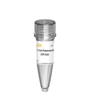 Reagente enzima - 10625ES series - Yeasen Biotechnology (Shanghai) Co., Ltd - per sintesi di RNA / liquido / di GMP
