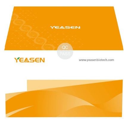 Reagente in soluzione - Hieff Trans™ - Yeasen Biotechnology (Shanghai) Co., Ltd - di trasfezione di DNA / virale
