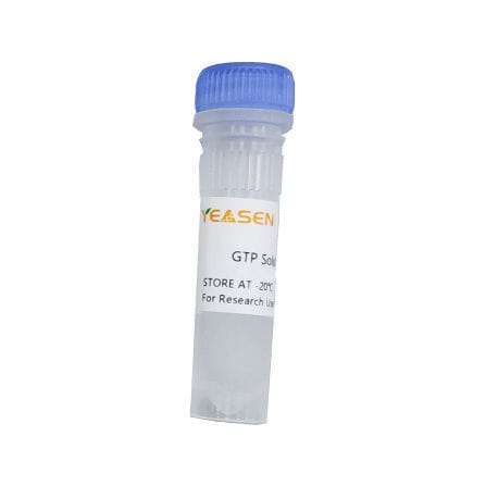 Reagente in soluzione - 10132ES series - Yeasen Biotechnology (Shanghai) Co., Ltd - per trascrizione in vitro / per sintesi di RNA / liquido
