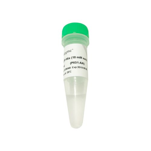 Reagente soluzione di dNTP - P031-01 - Vazyme - transcrittasi inversa / per PCR / per RT-PCR