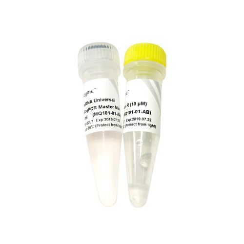 Reagente DNA polimerasi - MQ101-0 series - Vazyme - colorante / per qPCR / con avviamento a caldo