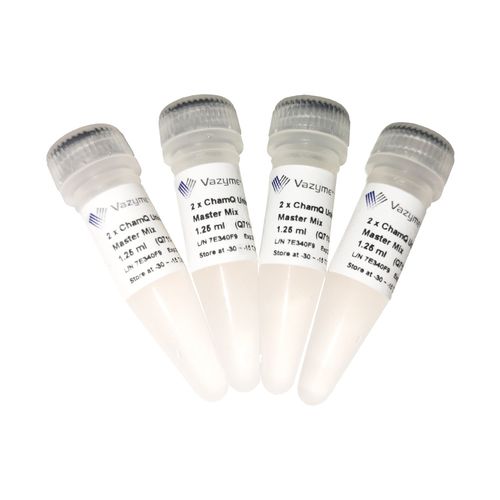 Reagente DNA polimerasi - ChamQ - Vazyme - anticorpo / colorante / Taq polimerasi