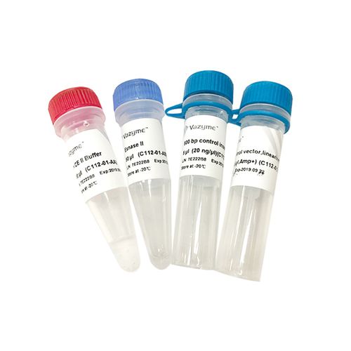 Kit di reagenti enzima - ClonExpress II  - Vazyme - per PCR
