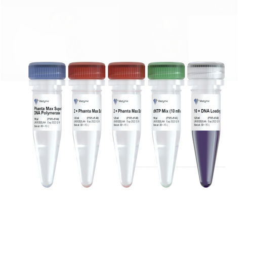Reagente enzima - Phanta Max  - Vazyme - DNA polimerasi / anticorpo monoclonale / per PCR