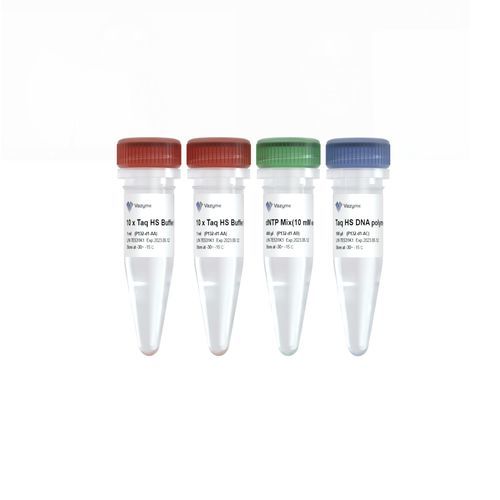 Kit di reagenti enzima - Taq HS - Vazyme - DNA polimerasi / Taq polimerasi / diagnostico