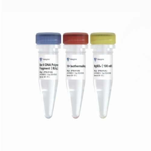 Kit di reagenti DNA polimerasi - Bst II - Vazyme - per amplificazione isotermica / genetico