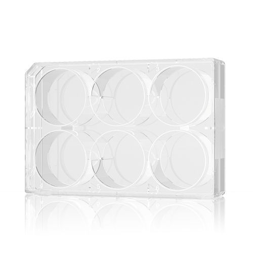 Micropiastra per coltura cellulare - CCP01006-B - Vazyme - da laboratorio / a 96 pozzetti / a 6 pozzetti