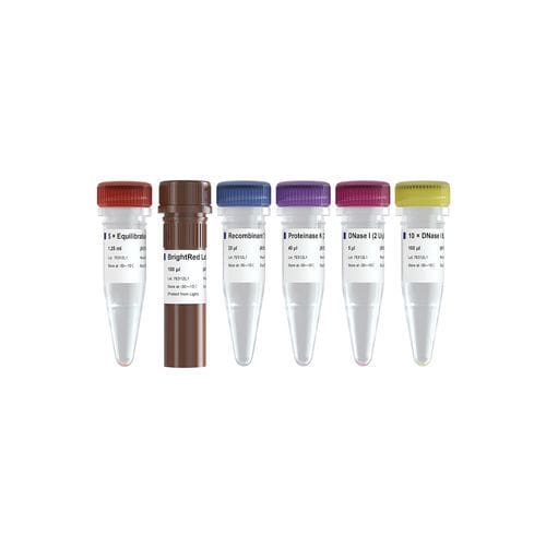 Kit di reagenti enzima - TUNEL BrightRed - Vazyme - soluzione tampone / dell'apoptosi