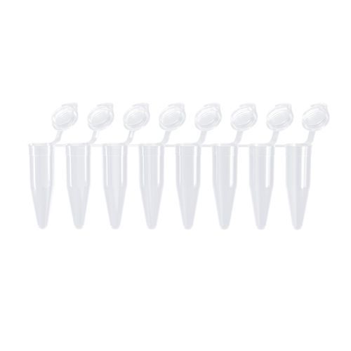 Microtubo per PCR - PCR00822-01 - Vazyme - per qPCR / conico / in polipropilene