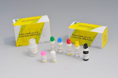 Test rapido dell'epatite A - Shanghai Rongsheng Biotech Co., Ltd. - di IgM / ELISA