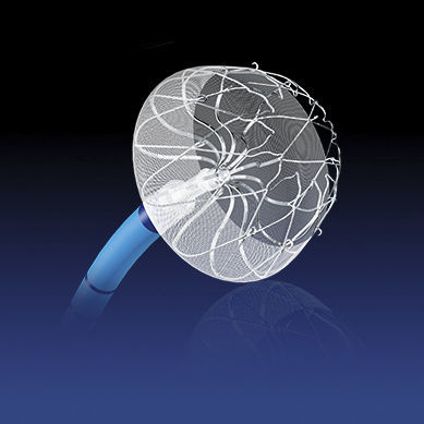 Occlusore per occlusione dell'auricolare sinistro - YFDQ-20-1 - Nanjing MDP Medical Technology