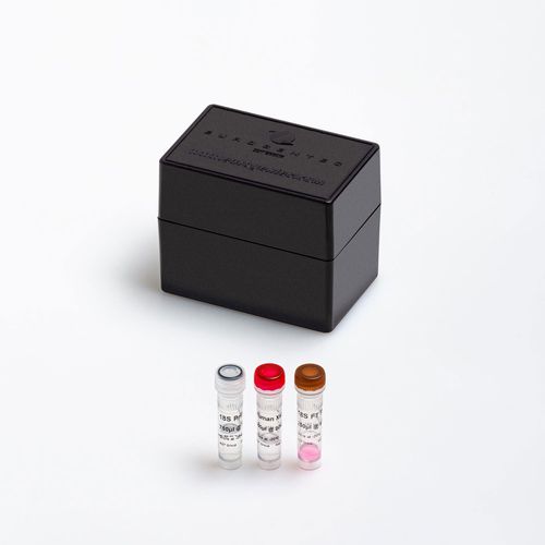 Kit di reagenti enzima - FAM-TAMRA  - Eurogentec - da ricerca / diagnostico / per qPCR