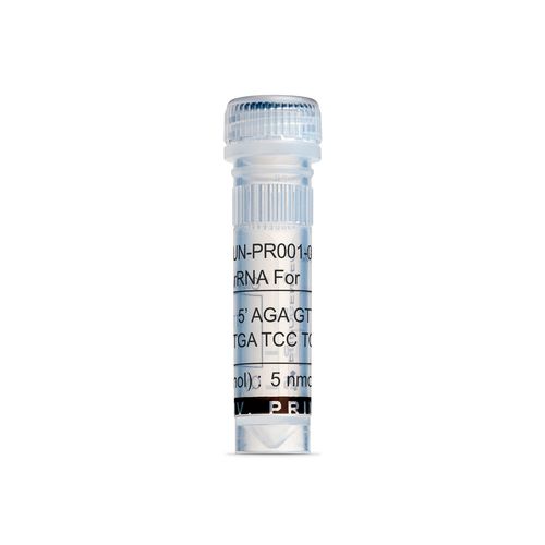 Mezzo reattivo - UN-PR001-005 - Eurogentec - da ricerca / batteriologico