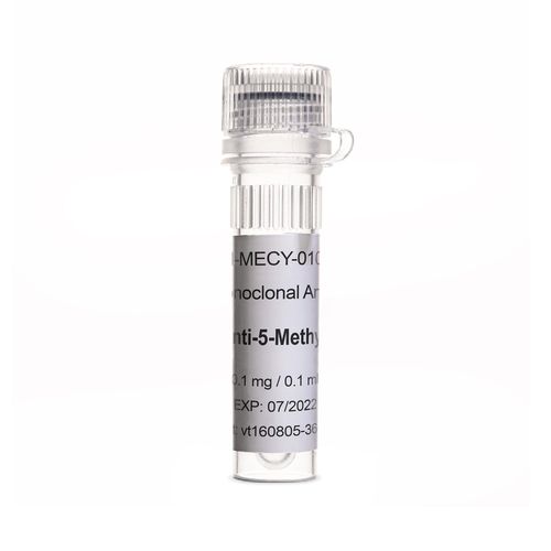 Reagente anticorpo - OptimAb - Eurogentec - per tessuti / per istopatologia / liquido