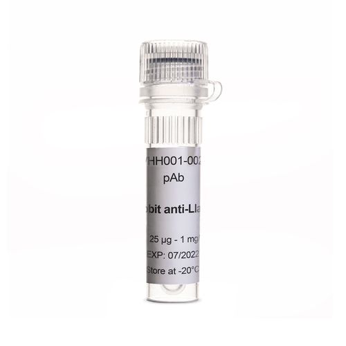 Reagente anticorpo - EG-VHH001-0025 - Eurogentec - per immunoistochimica / liquido / di origine animale