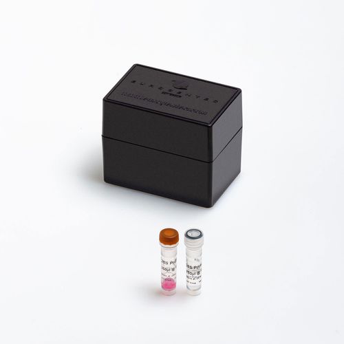 Kit di reagenti enzima - Yakima Yellow® - Eclipse Dark Quencher® - Eurogentec - diagnostico / clinico / liquido