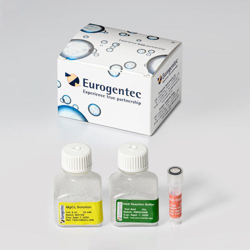 Kit di reagenti enzima - HGS Diamond Taq® - Eurogentec - DNA polimerasi / diagnostico / per PCR