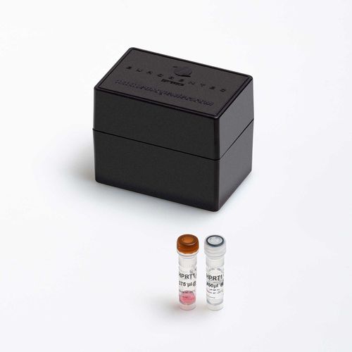 Kit di reagenti enzima - Yakima Yellow® - EDQ® - Eurogentec - diagnostico / clinico / da ricerca