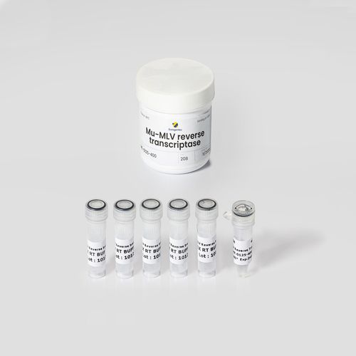 Kit di reagenti enzima - Mu-MLV - Eurogentec - transcrittasi inversa / da ricerca / liquido