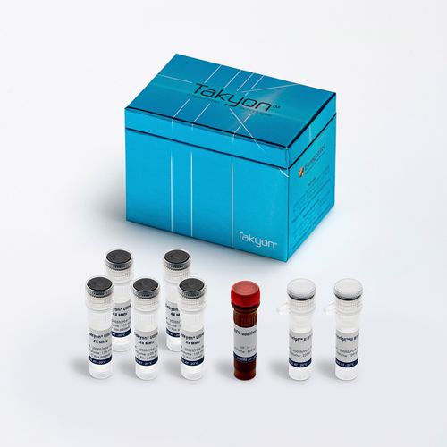Kit di reagenti in soluzione - Takyon® - Eurogentec - DNA polimerasi / da ricerca / per Rt-qPCR