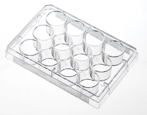 Micropiastra da laboratorio - TCP001001 - Guangzhou Jet Bio-Filtration Co., Ltd. - per coltura cellulare / per coltura tessutale / a 96 pozzetti
