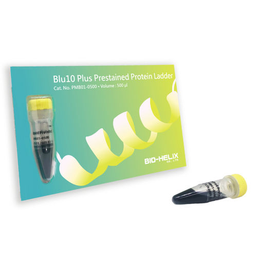 Scala proteica - Blu10 Plus - Bio-Helix - per western blot