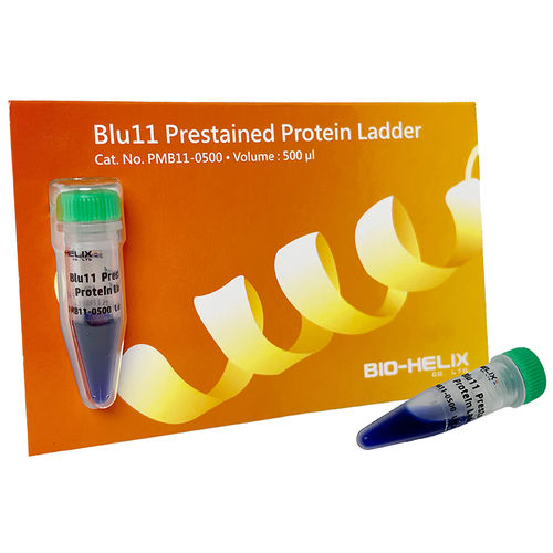Scala proteica - Blu11 - Bio-Helix - per western blot / dell'urea / di pH