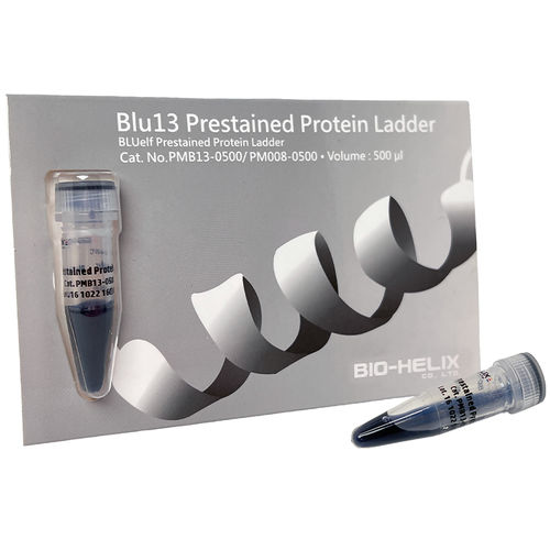 Scala proteica - Blu13  - Bio-Helix - da ricerca / per western blot / diagnostico
