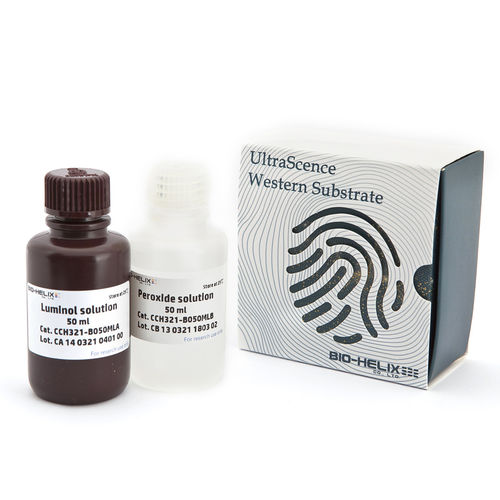 Reagente in soluzione - UltraScence Pico Plus - Bio-Helix - anticorpo / antigeno / per western blot