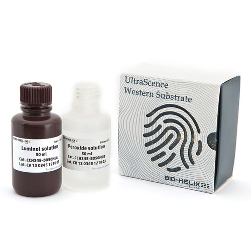 Reagente in soluzione - UltraScence Pico Ultra - Bio-Helix - anticorpo / antigeno / per western blot