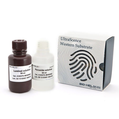 Reagente anticorpo - UltraScence Femto Plus - Bio-Helix - antigeno / IgG / per western blot