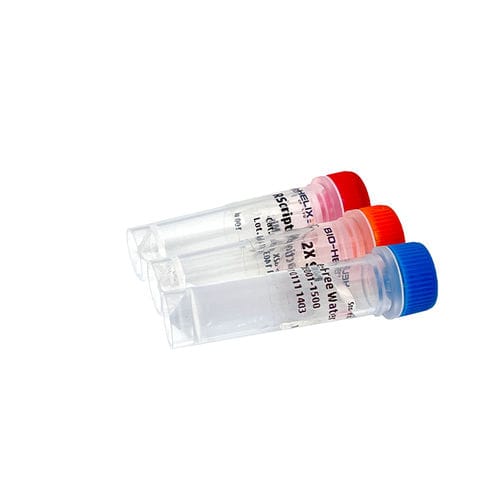 Kit di reagenti transcrittasi inversa - RScript™ - Bio-Helix - inibitore di Rnase / per sintesi di ADN complementare