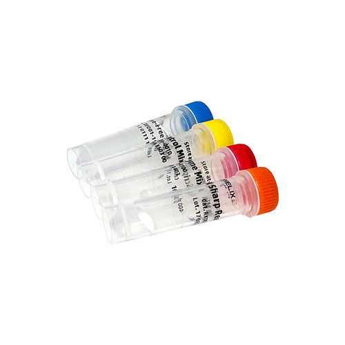 Kit di reagenti enzima - RScript™ - Bio-Helix - transcrittasi inversa / colorante / per sintesi di ADN complementare