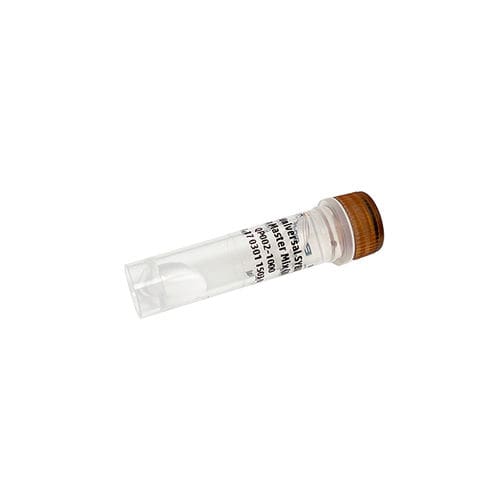 Reagente enzima - PanProbes™ - Bio-Helix - DNA polimerasi / colorante / per qPCR