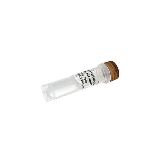 Reagente enzima - PanGreen™ - Bio-Helix - DNA polimerasi / colorante / per PCR real-time