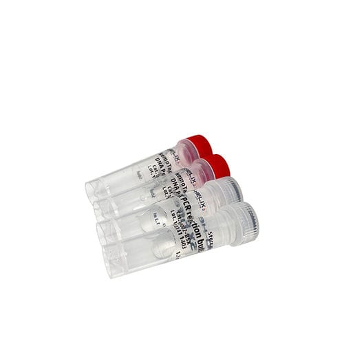 Reagente enzima - kemoTaq™ - Bio-Helix - DNA polimerasi / colorante / con avviamento a caldo