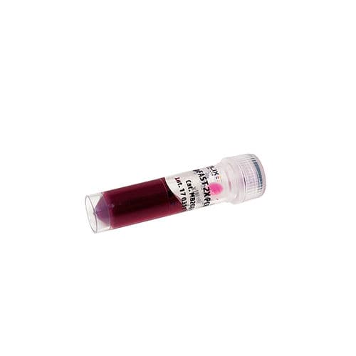 Reagente enzima - AmpFAST - Bio-Helix - Taq polimerasi / DNA genomico