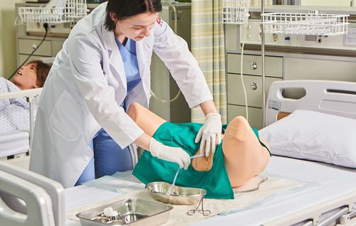Simulatore per cataterismo - BT-CSCF - BT Inc. - didattico / per assistenza generale / femminile