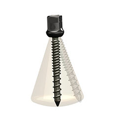 Vite peduncolare per vertebra toracica - ISpine PLS-Ⅱ - Zhejiang Jiayou Medical Device - poliassiale / in metallo