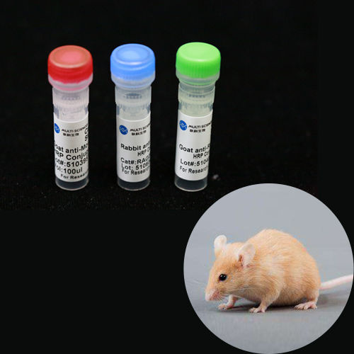 Reagente anticorpo monoclonale - BAB1738 - MULTI SCIENCES(LIANKE) BIOTECH, CO.,LTD. - collagene / da ricerca / per laboratorio veterinario