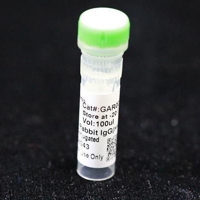 Reagente anticorpo monoclonale - BAB1727 - MULTI SCIENCES(LIANKE) BIOTECH, CO.,LTD. - conservante / da ricerca / per laboratorio veterinario