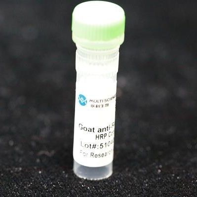 Reagente anticorpo monoclonale - BAB1724 - MULTI SCIENCES(LIANKE) BIOTECH, CO.,LTD. - conservante / collagene / da ricerca