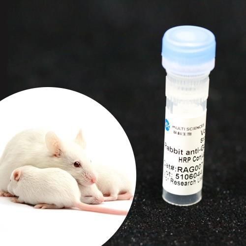 Reagente anticorpo monoclonale - BAB1721 - MULTI SCIENCES(LIANKE) BIOTECH, CO.,LTD. - conservante / da ricerca / di proteine
