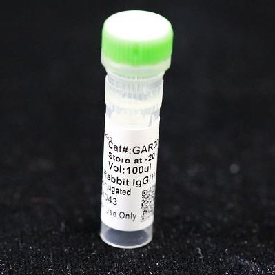 Reagente anticorpo monoclonale - BAB1719 - MULTI SCIENCES(LIANKE) BIOTECH, CO.,LTD. - conservante / da ricerca / di proteine