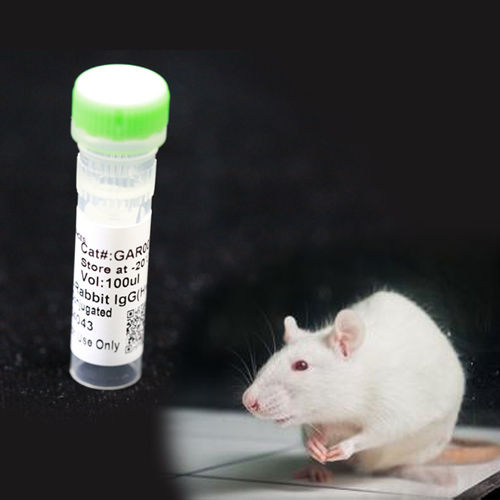 Reagente anticorpo monoclonale - BAB1760 - MULTI SCIENCES(LIANKE) BIOTECH, CO.,LTD. - conservante / da ricerca / di proteine