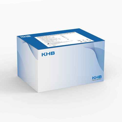 kit di reagenti antigeno - Shanghai Kehua Bio-engineering